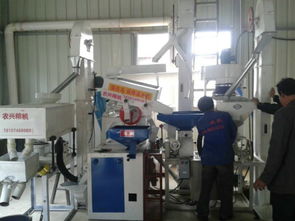 批發(fā)供應廠家直銷組合碾米機成套設備 價格、圖片與技術(shù)服務詳解