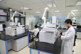 科技引領，服務賦能 以創新技術打響“上海制造”品牌，驅動集團高質量發展