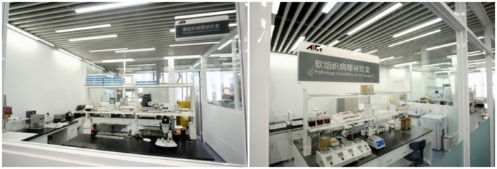 上海技術服務有限公司 專業驅動，智領未來